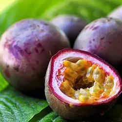  Passion-fruit