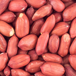  Peanuts 